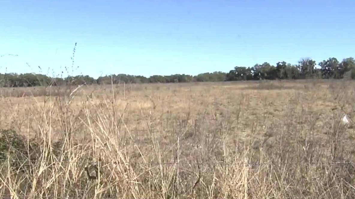Will another Buc-ee's open in Florida?